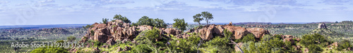 Panoramic scenery in Mapungubwe National park, South Africa photo