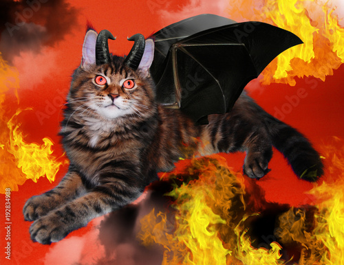 kitten, demon