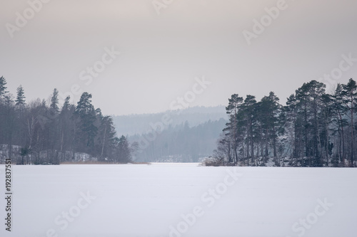 Different depths of snowy forest on the other side a lake with ice