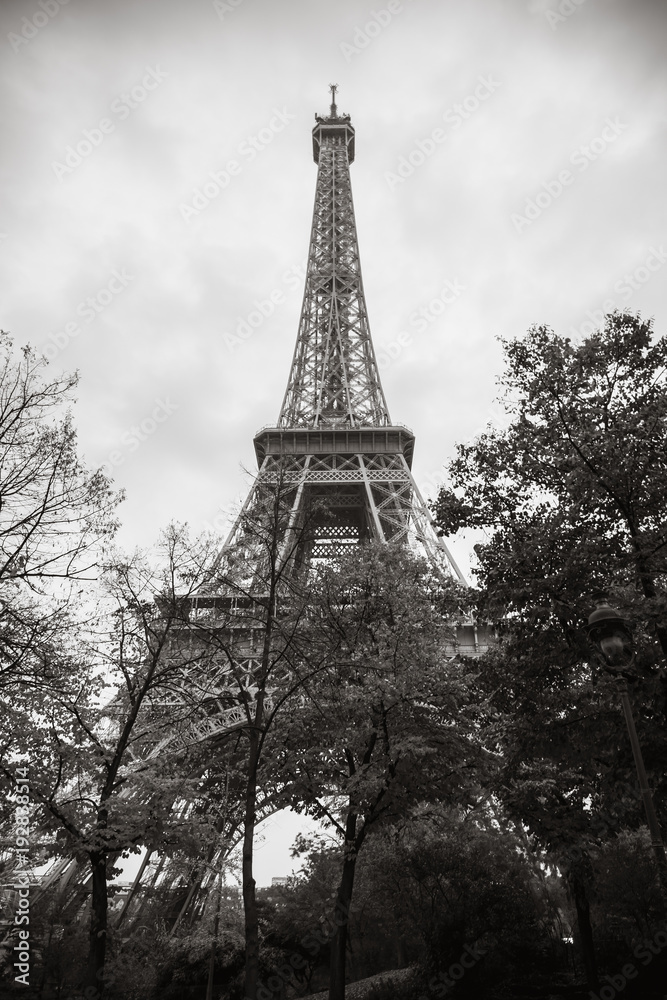 Eiffel Tower, the most popular landmark