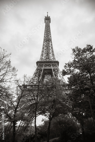 Fototapeta Naklejka Na Ścianę i Meble -  Eiffel Tower, the most popular landmark