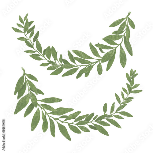 Hand drawn bay leaf wreath isolated on white background.Pastel texture.
