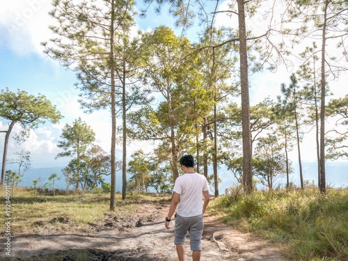 Man walking.In the midst of nature Very refreshing..Pine forest and grass.Go straight ahead along the way..Backgrounds of nature and people with blue sky. © thatkasem14