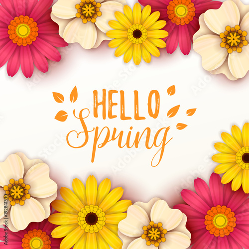 Colorful spring background with beautiful flowers. Vector illustration