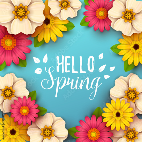 Colorful spring background with beautiful flowers. Vector illustration