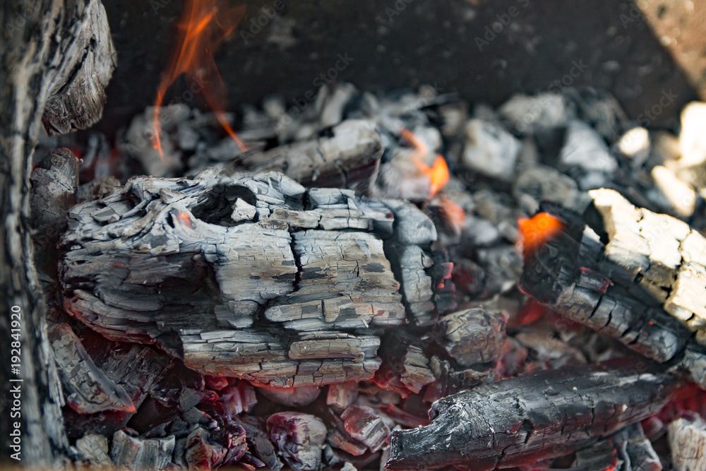 firewood burned to ashes