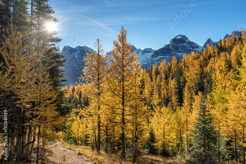 Autumn Larch Valley hike from Lake Moraine