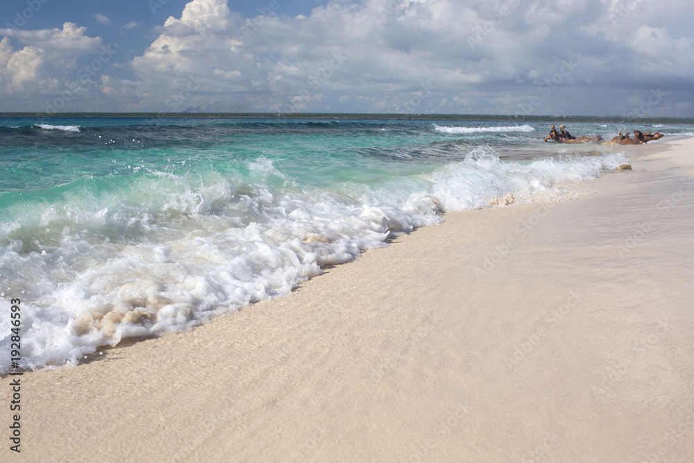 beautiful seascape and gentle sea wave