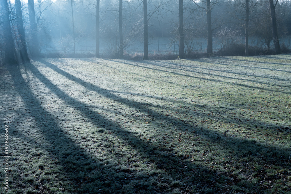 Naklejka premium Cold landscape