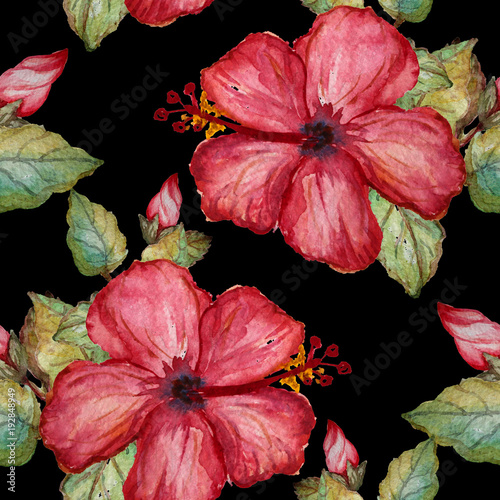 Plakat - Czerwony kwiat malowany akwarelą na czarnym tle