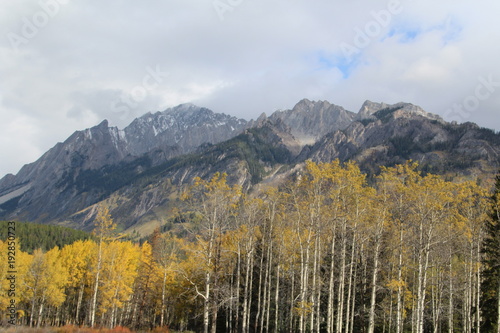 Autumn Colors Along Bow Valley Parkway, Banff National Park, Alberta