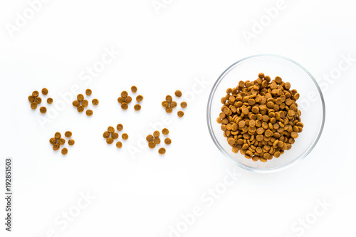 Paw sign made of dry cat or dog food with full bowl. Pet care and veterinary concept with letters on white background.