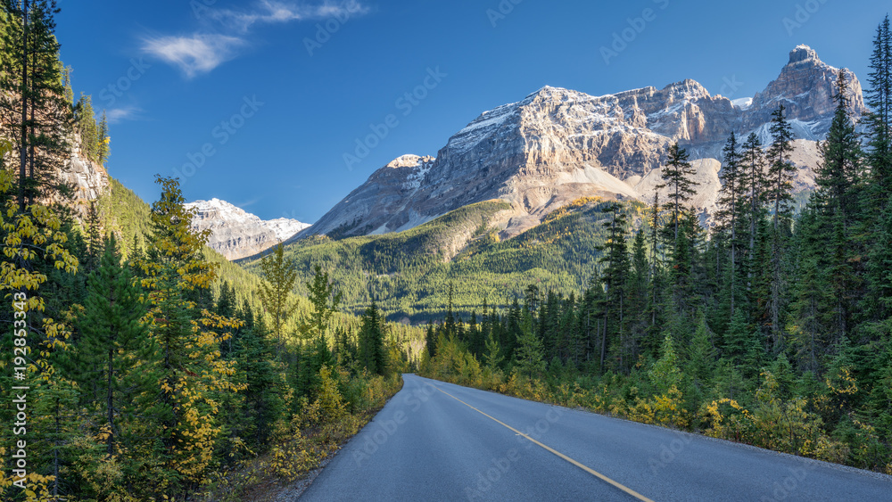 Autumn Yoho Valley Road looking to Cathedral Crags Autumn Yoho Valley Road looking to Cathedral Crags