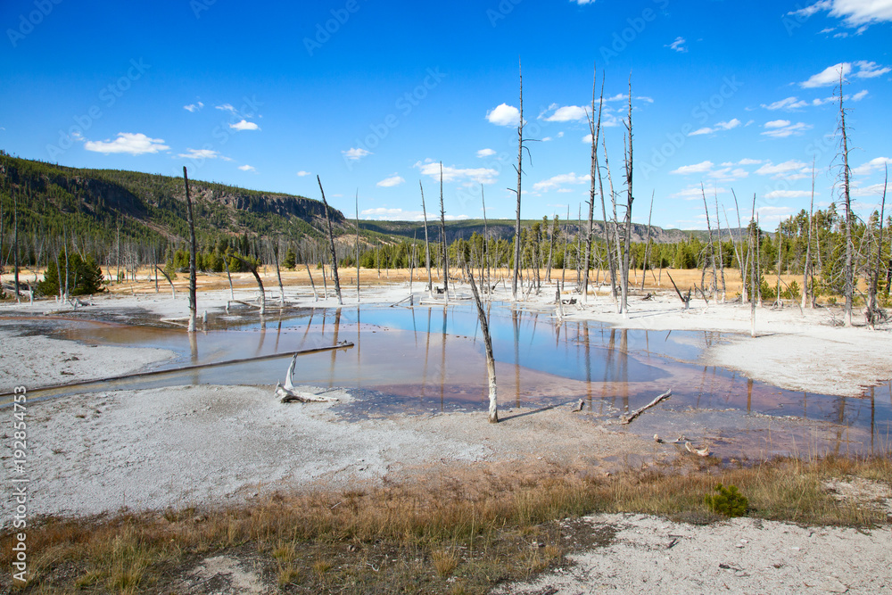 Black sands geyser basin