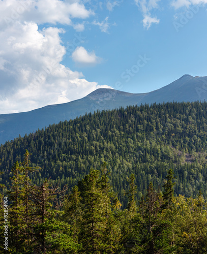 Summer Syvulja mountain view (Carpathian, Ukraine).