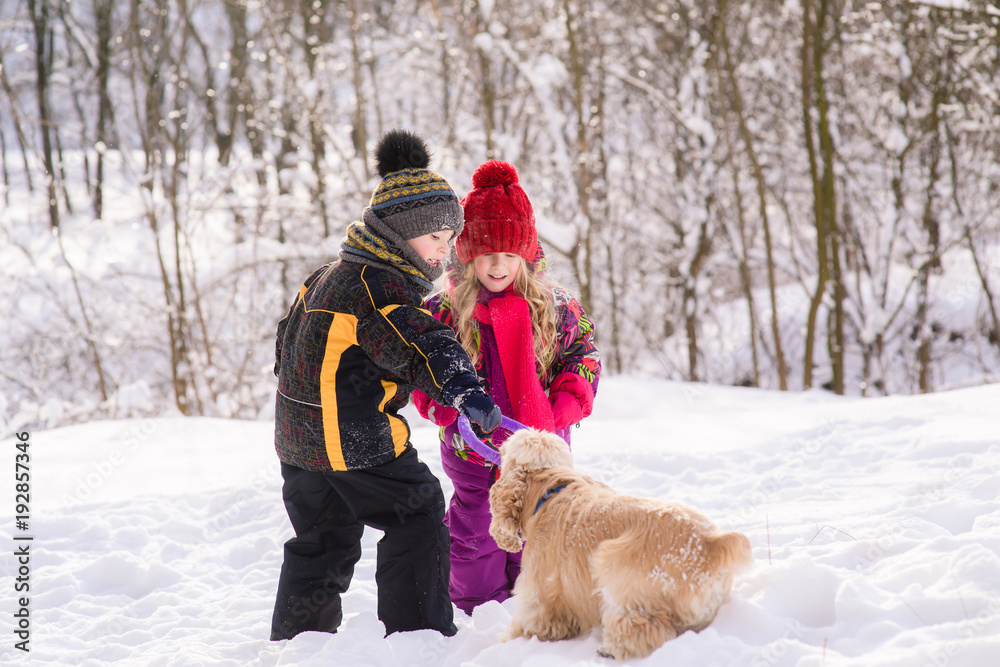 Kids play with cocker spaniel in winter forest