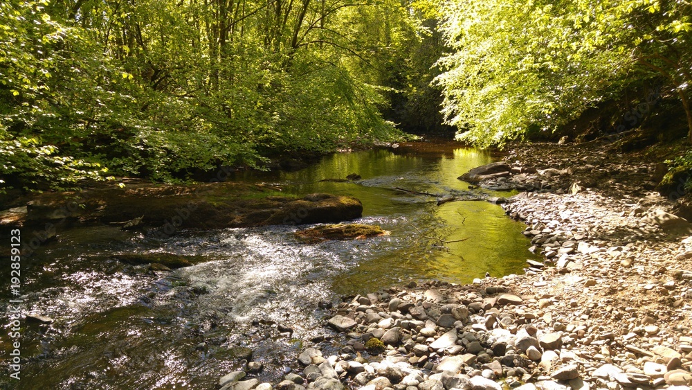Obraz premium Mountain stream in scottish mountains
