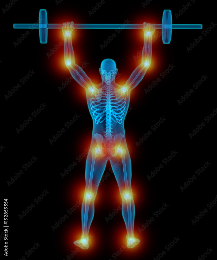 Very detailed and medically accurate 3D Illustration of a translucent man lifting weights Very detailed and medically accurate 3D Illustration of a translucent man lifting weights