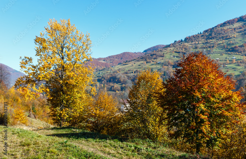 Autumn Carpathian mountains, Ukraine