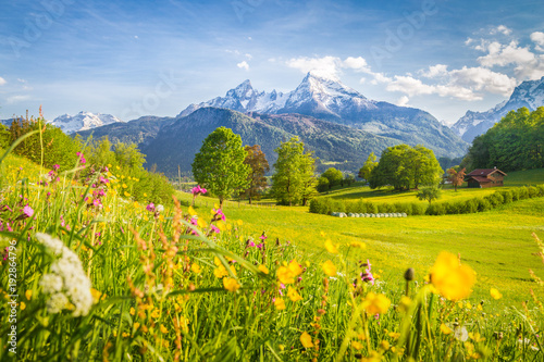 Idylliczna górska sceneria w Alpach z kwitnącymi łąkami na wiosnę