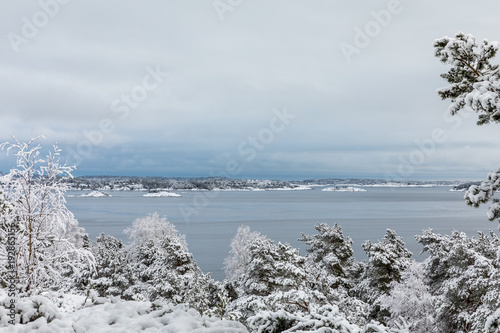 Beautiful winter day at Odderoya in Kristiansand, Norway. Pine trees covered in snow. The ocean and archipelago in the background. photo