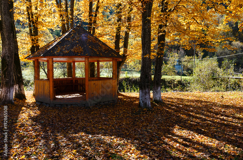 Gazebo in autumn Carpathian mountain beech sunny park on  river shore