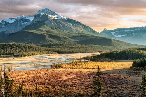 Obraz Przejście rzeki Saskatchewan podczas jesieni złotej godziny Icefields Parkway