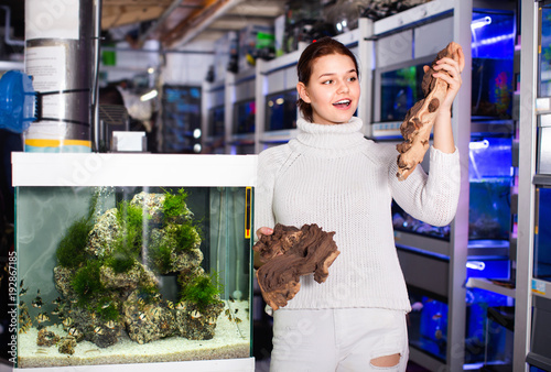 Foto Girl in aquarium store choosing brown petrified wood