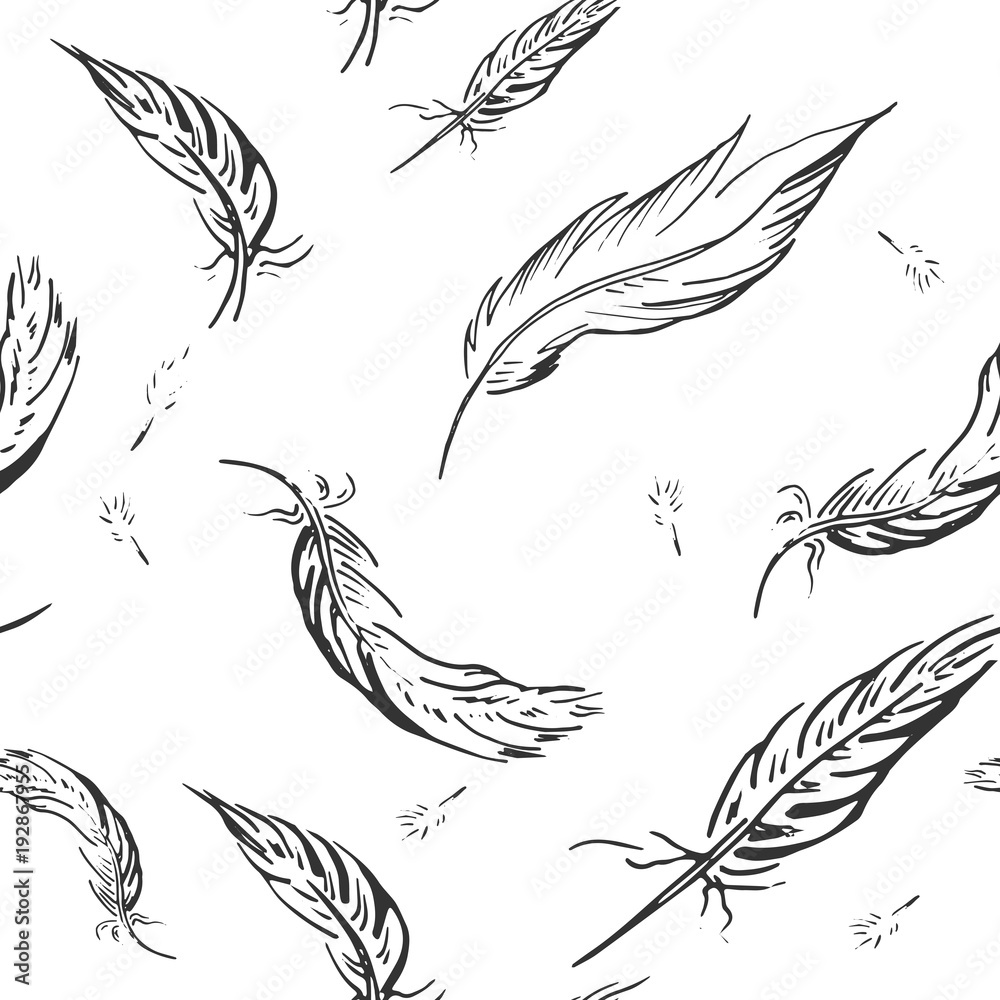 Fototapeta premium Vector illustration of black and white feather pattern in hand drawn style.