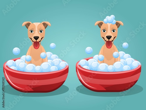 Set of 2 funny and cute vector dogs taking bath in tub,washing,grooming isolated on blue background.Vector illustration