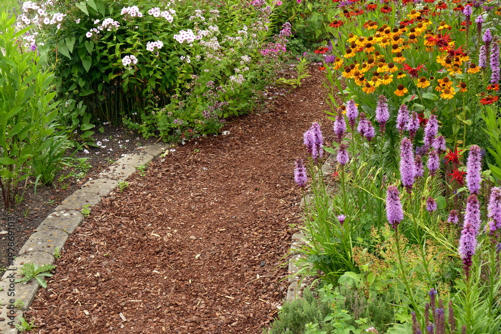 Weg mit Rindenmulch, durch buntes Staudenbeet Stock Photo Adobe Stock