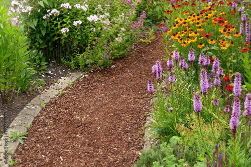 Weg mit Rindenmulch, durch buntes Staudenbeet photo