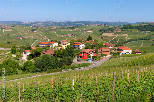 Vienyards and small village in Italy. photo