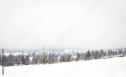 Winter Wonderland landscape   © 2207918