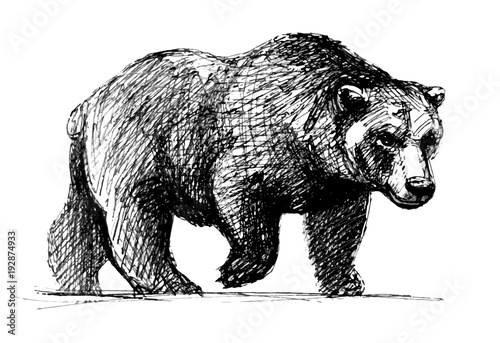 Bear walking