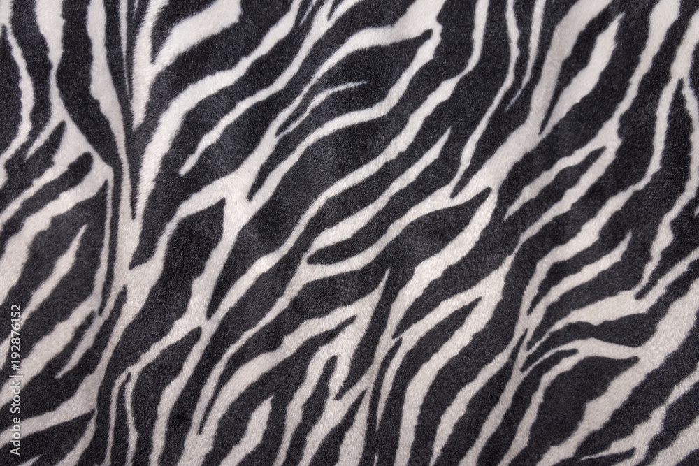 Stoffvorhang mit Zebrafell Muster Stoffvorhang mit Zebrafell Muster
