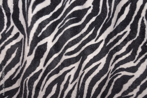 Stoffvorhang mit Zebrafell Muster