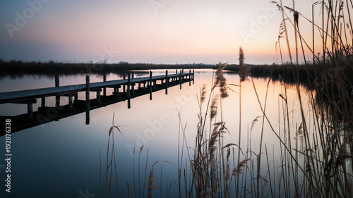 Steg und Schilf am Morgen am Neusiedlersee