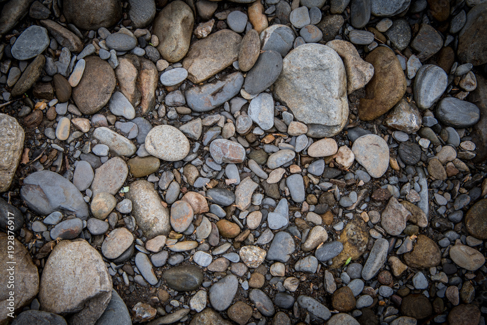 Smooth River Rocks on Bank Texture Smooth River Rocks on Bank Texture