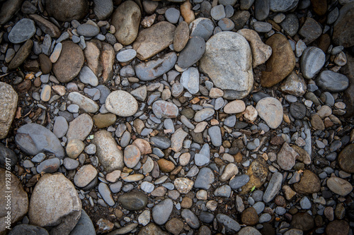 Smooth River Rocks on Bank Texture