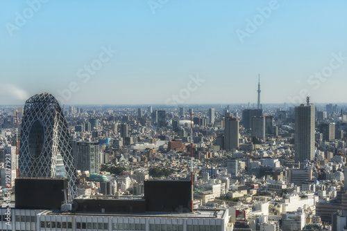Tokyo city aerial view. Japan.