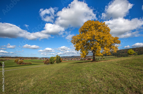 Herbst im Schwarzwald-Baarkreis im Landkreis Tuttlingen