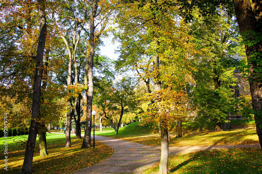 Naklejka premium Wanderweg oder Radweg in einem Park bei sonnigem Wetter