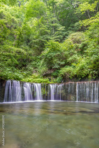 Shiraito Falls  Shiraito-no-taki  3 Meters height waterfall but spread out over a 70 meter wide arch. Located north of Karuizawa  Shizuoka Prefecture  near Mount Fuji  Japan