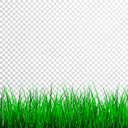 Green Grass Border Set, Vector Illustration