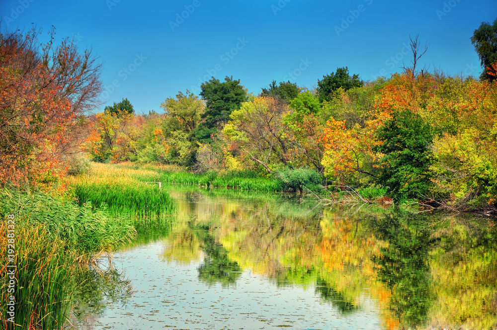 Beautiful reflection in wetland. Wild nature and animals.Carska bara, large natural swamp habitat for birds and other animals ,Serbia,Europe Beautiful reflection in wetland. Wild nature and animals.Carska bara, large natural swamp habitat for birds and other animals ,Serbia,Europe