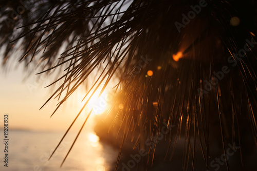 Palm leaves silhouette over bright orange yellow sunset on tropical beach