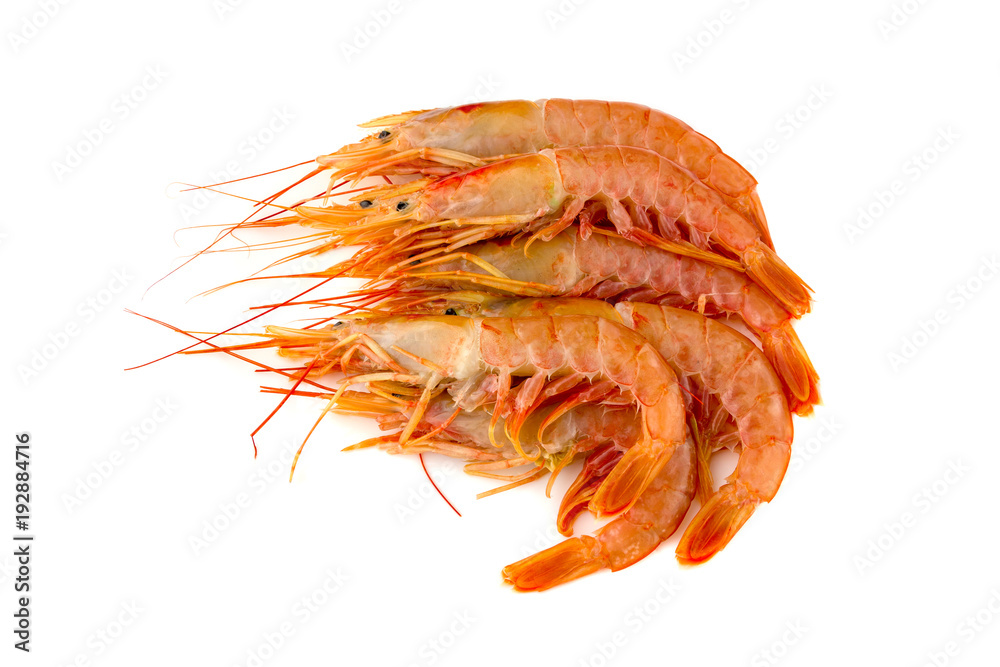 Raw prawns on a white background. Shrimp langoustina close-up on a white surface. Raw prawns on a white background. Shrimp langoustina close-up on a white surface.