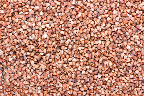 Buckwheat groats close-up. Pile of buckwheat groats, top view.
