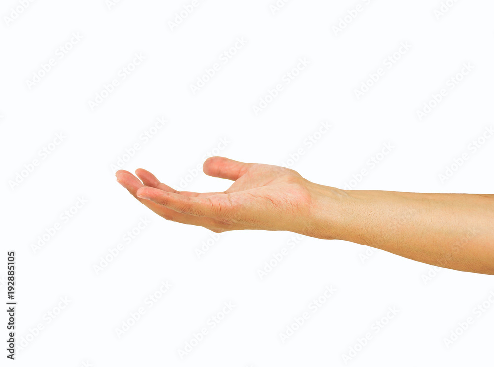 closeup of hand presenting with copy space isolated on white background closeup of hand presenting with copy space isolated on white background